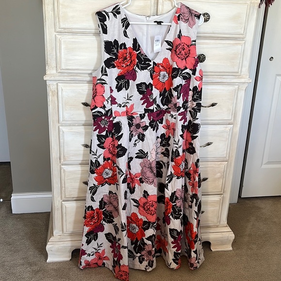 Brand new Ann Taylor dress with tags sleeveless. Elegant. Floral print. Cottony - Picture 6 of 9